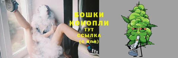 spice Вяземский
