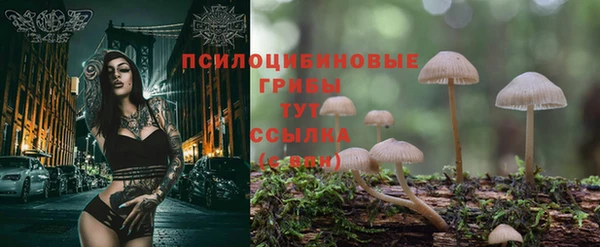 Альфа ПВП Володарск